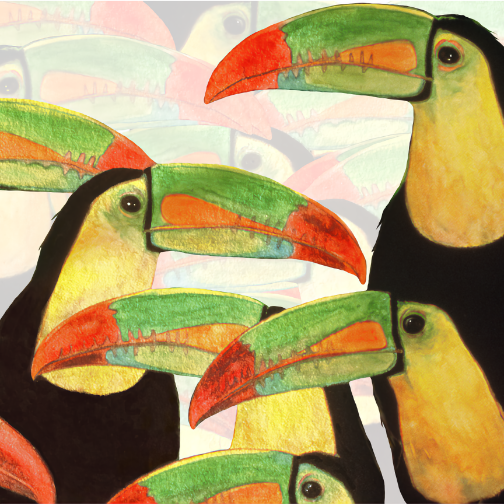 toucan bird art prints